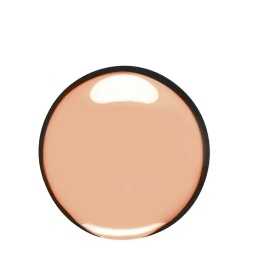 Clarins Foundation Everlasting Compact Foundation
