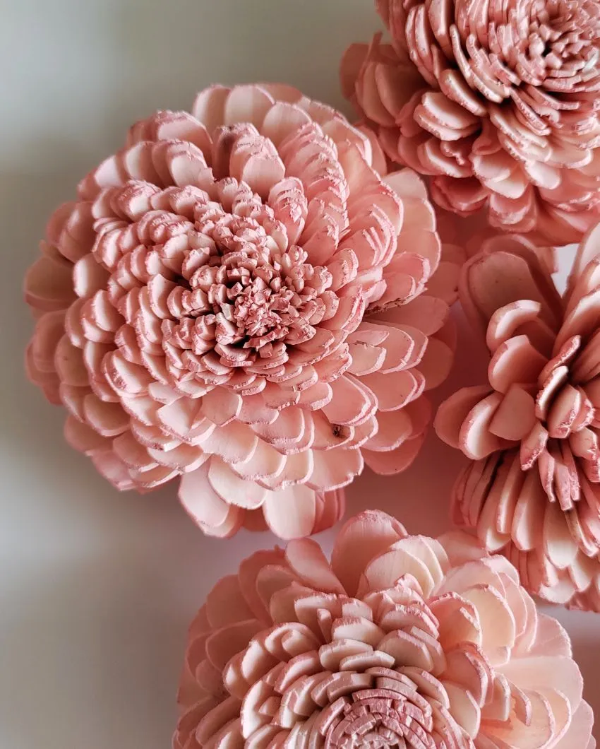 Coressa Sholapith DIY Flower Bunch | Vase Not Included | 11 Flower Heads
