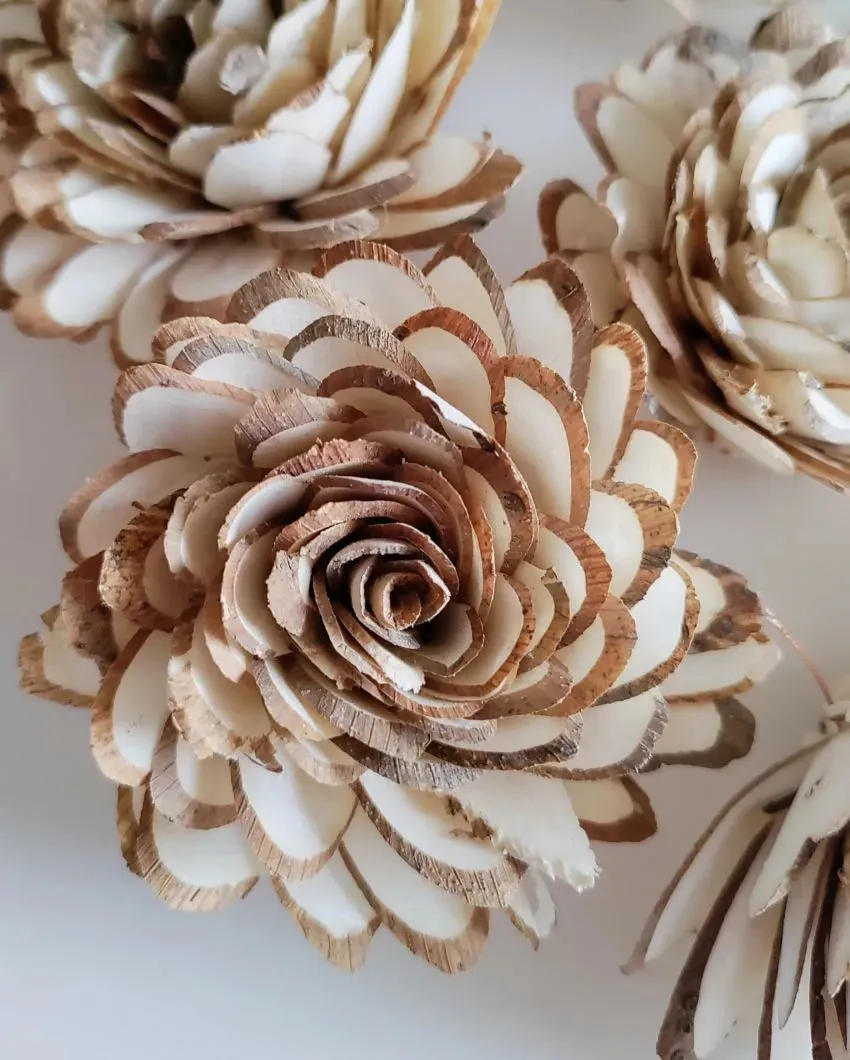 Coressa Sholapith DIY Flower Bunch | Vase Not Included | 11 Flower Heads