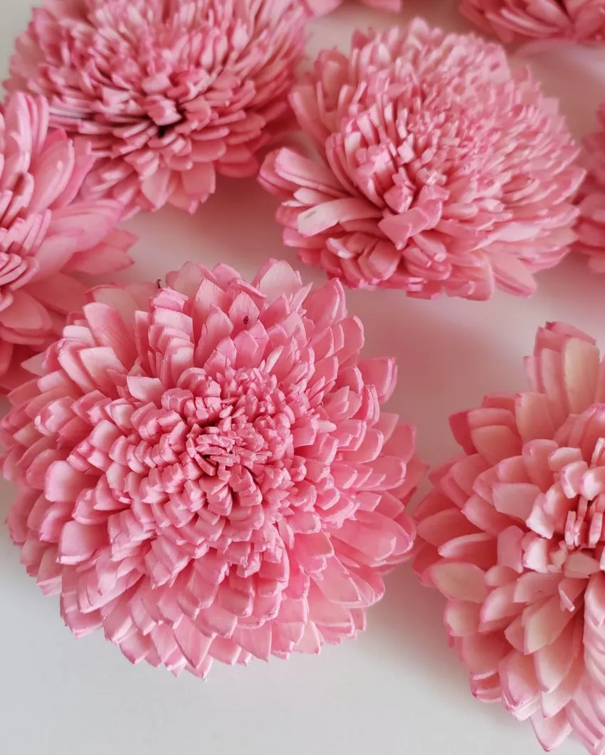 Coressa Sholapith DIY Flower Bunch | Vase Not Included | 11 Flower Heads