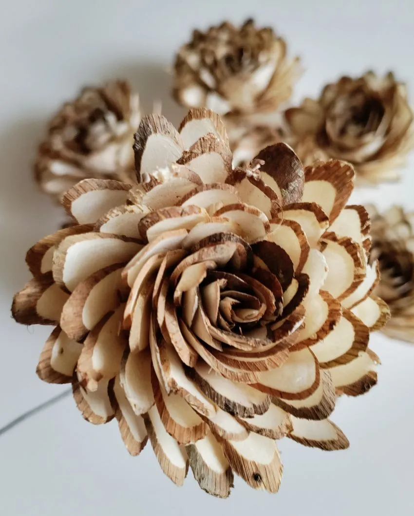 Coressa Sholapith DIY Flower Bunch | Vase Not Included | 11 Flower Heads