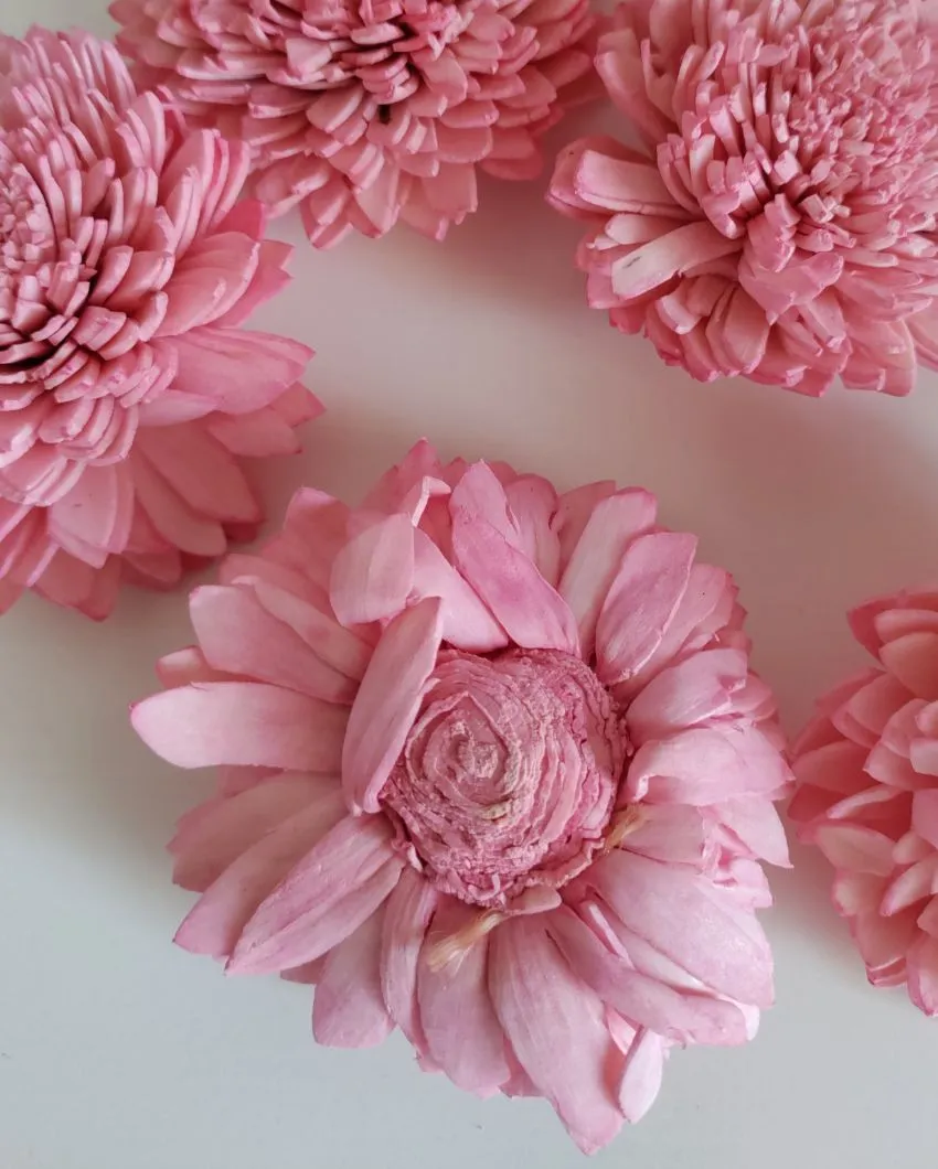 Coressa Sholapith DIY Flower Bunch | Vase Not Included | 11 Flower Heads