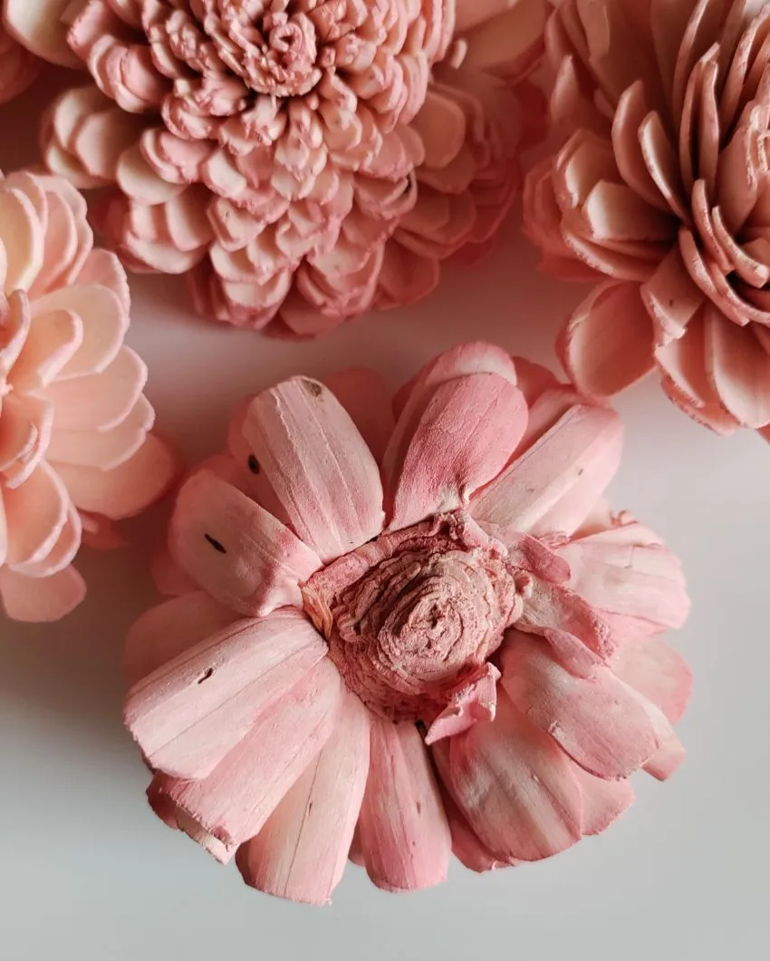 Coressa Sholapith DIY Flower Bunch | Vase Not Included | 11 Flower Heads