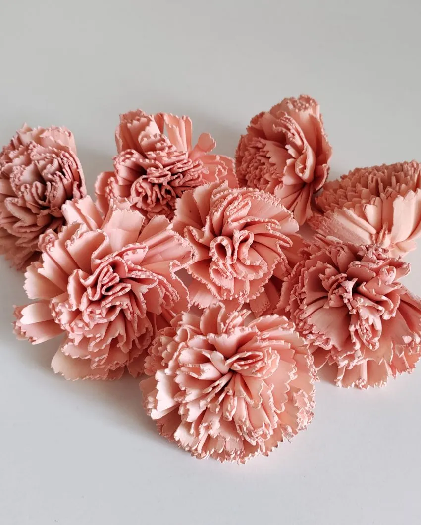 Coressa Sholapith DIY Flower Bunch | Vase Not Included | 11 Flower Heads