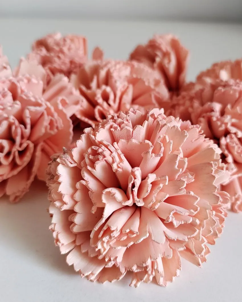 Coressa Sholapith DIY Flower Bunch | Vase Not Included | 11 Flower Heads