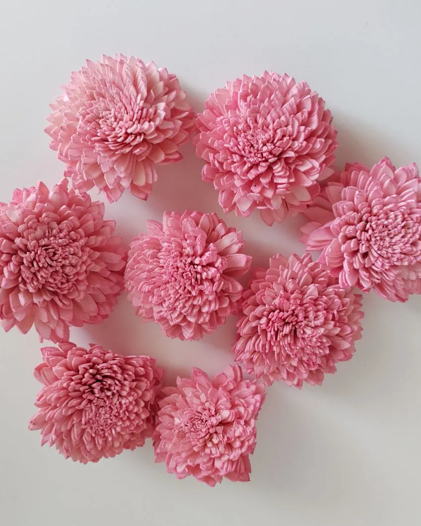Coressa Sholapith DIY Flower Bunch | Vase Not Included | 11 Flower Heads