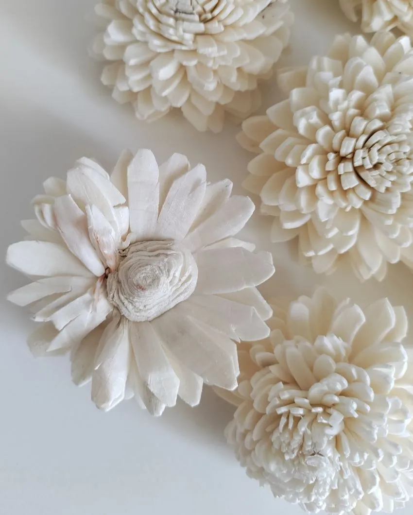 Coressa Sholapith DIY Flower Bunch | Vase Not Included | 11 Flower Heads