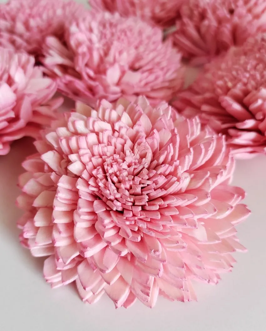 Coressa Sholapith DIY Flower Bunch | Vase Not Included | 11 Flower Heads