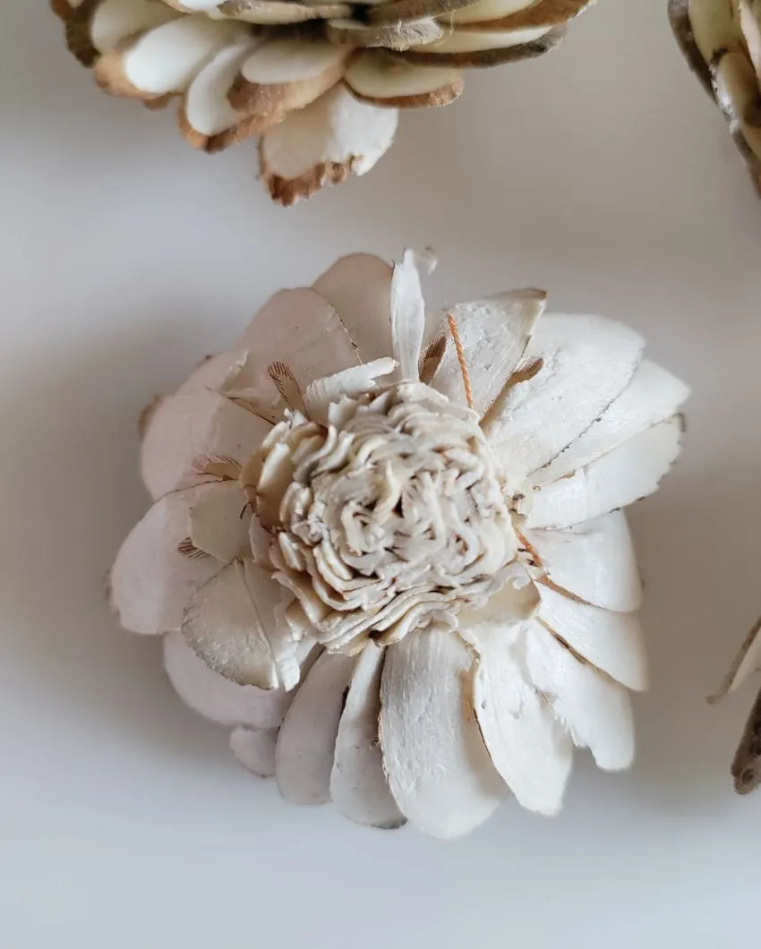Coressa Sholapith DIY Flower Bunch | Vase Not Included | 11 Flower Heads