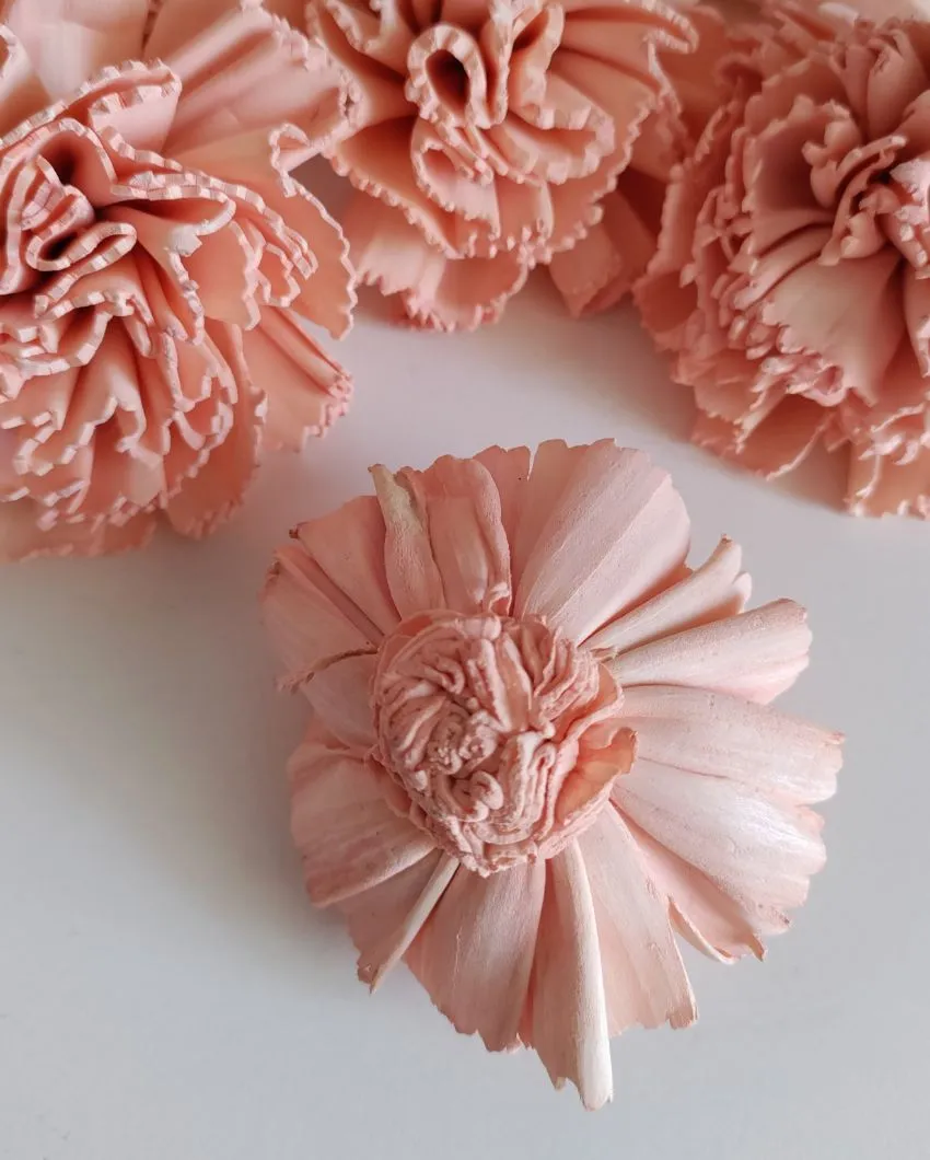 Coressa Sholapith DIY Flower Bunch | Vase Not Included | 11 Flower Heads