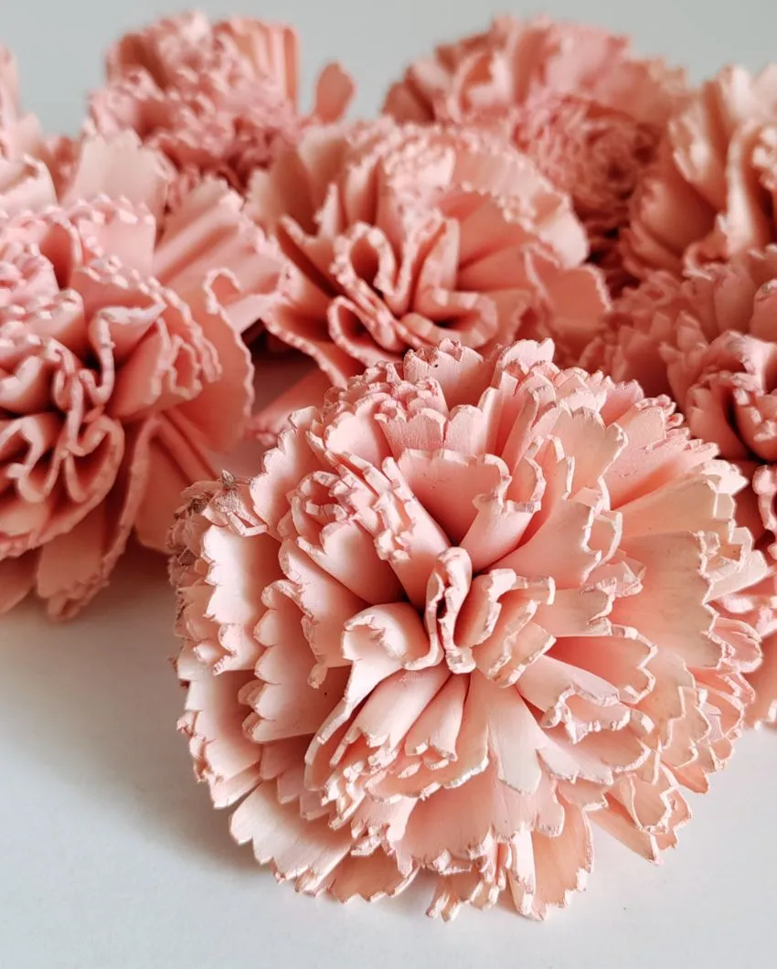 Coressa Sholapith DIY Flower Bunch | Vase Not Included | 11 Flower Heads